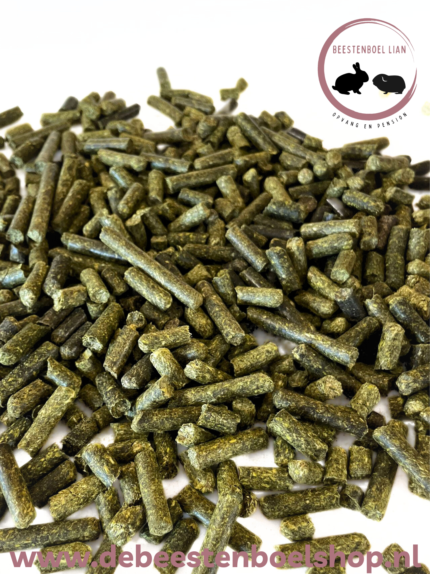 Beestenboel Cavia Vitaal 