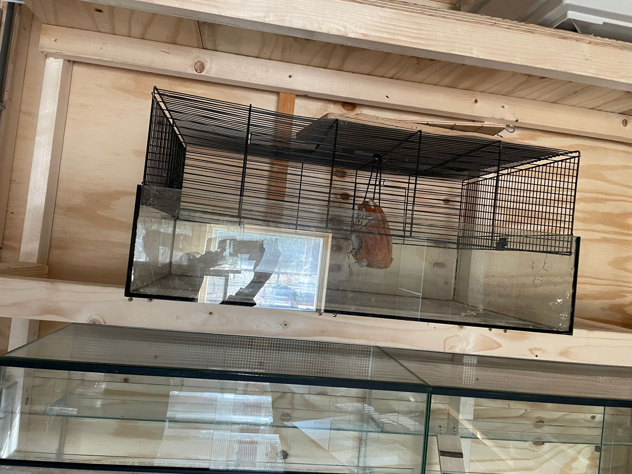 Hamster / gerbil / muizen kooi (2dehands!) Hamster / gerbil / muizen kooi (2dehands!)