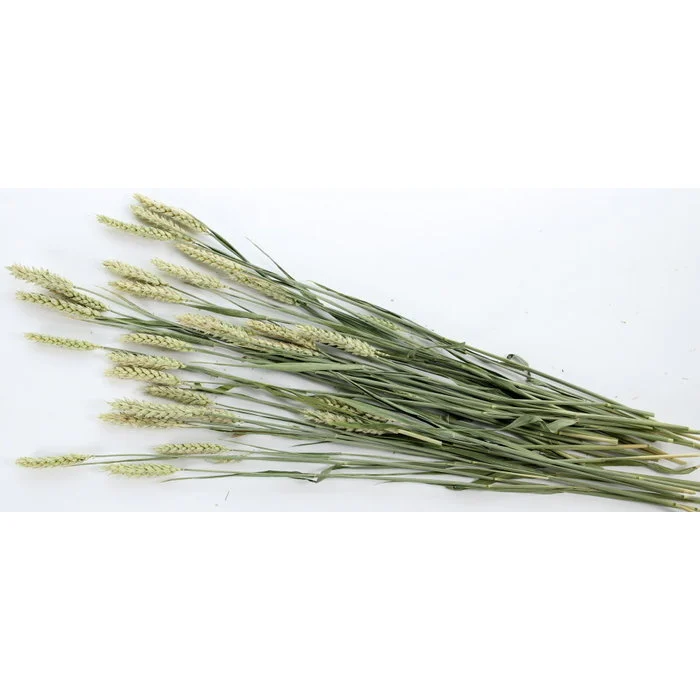 Pet bouquet tarweakker