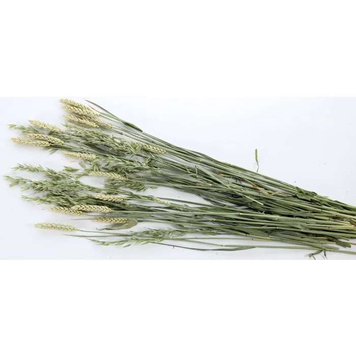 Pet bouquet haverland