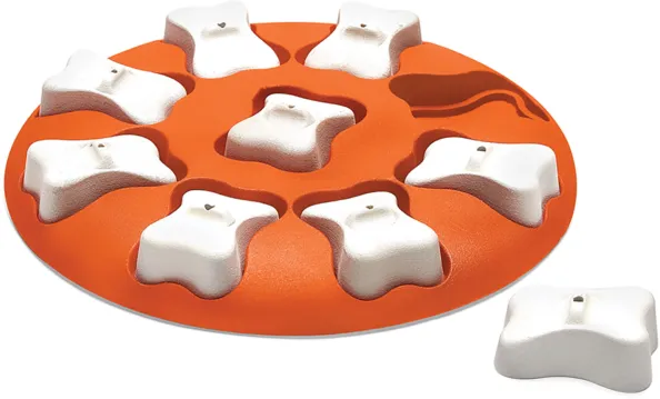 Intelligentiespel Oranje 